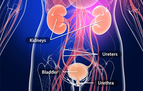 nursing care plan for urinary incontinence